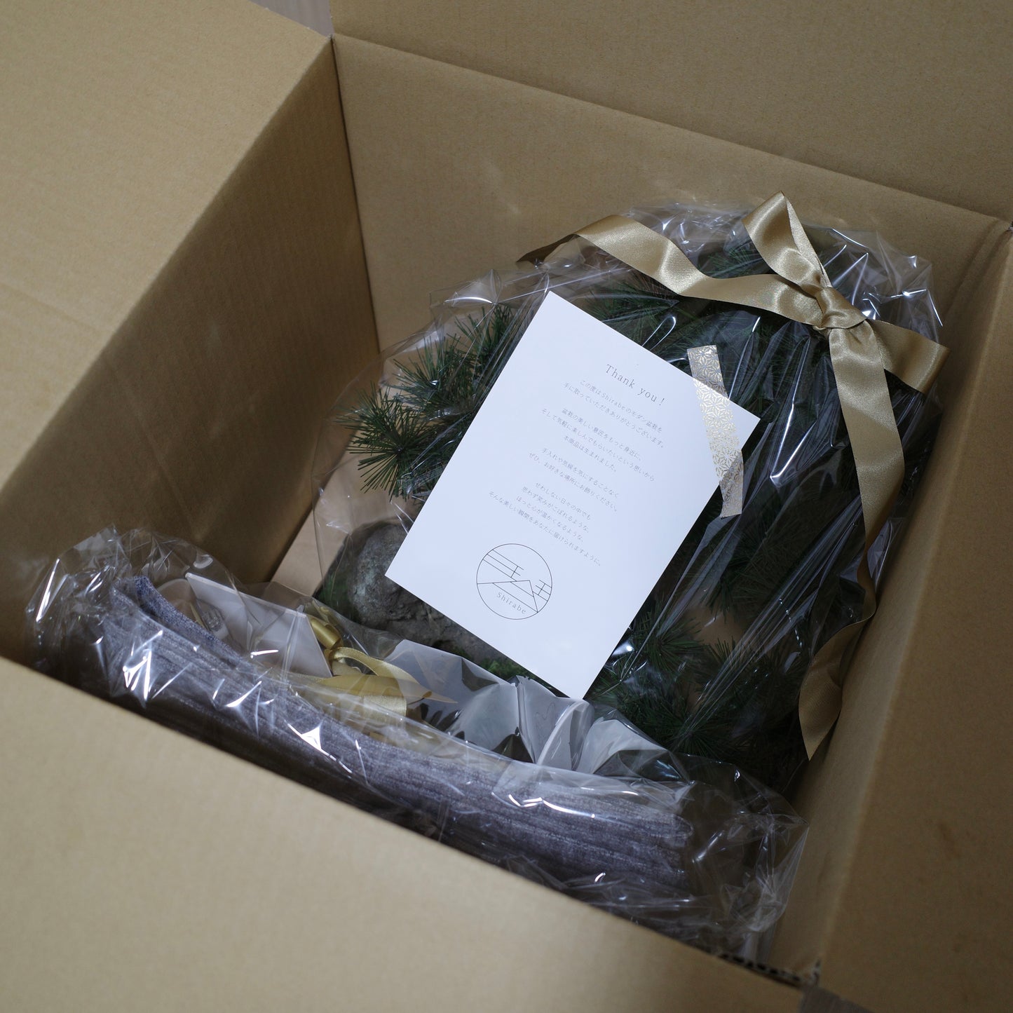 フェイク盆栽 盆栽 bonsai shirabe シラベ ハンドメイド 和モダン 店舗インテリア 空間演出