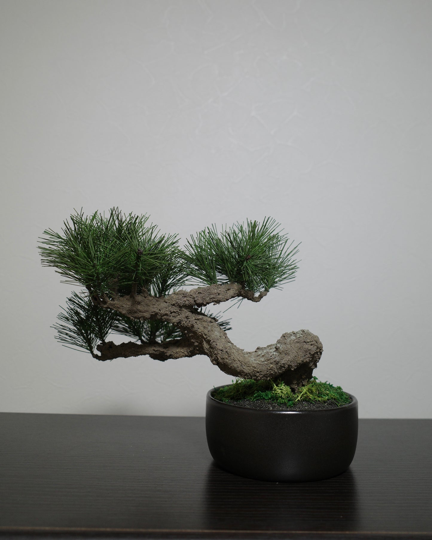 フェイク盆栽 盆栽 bonsai shirabe シラベ ハンドメイド 和モダン 店舗インテリア 空間演出