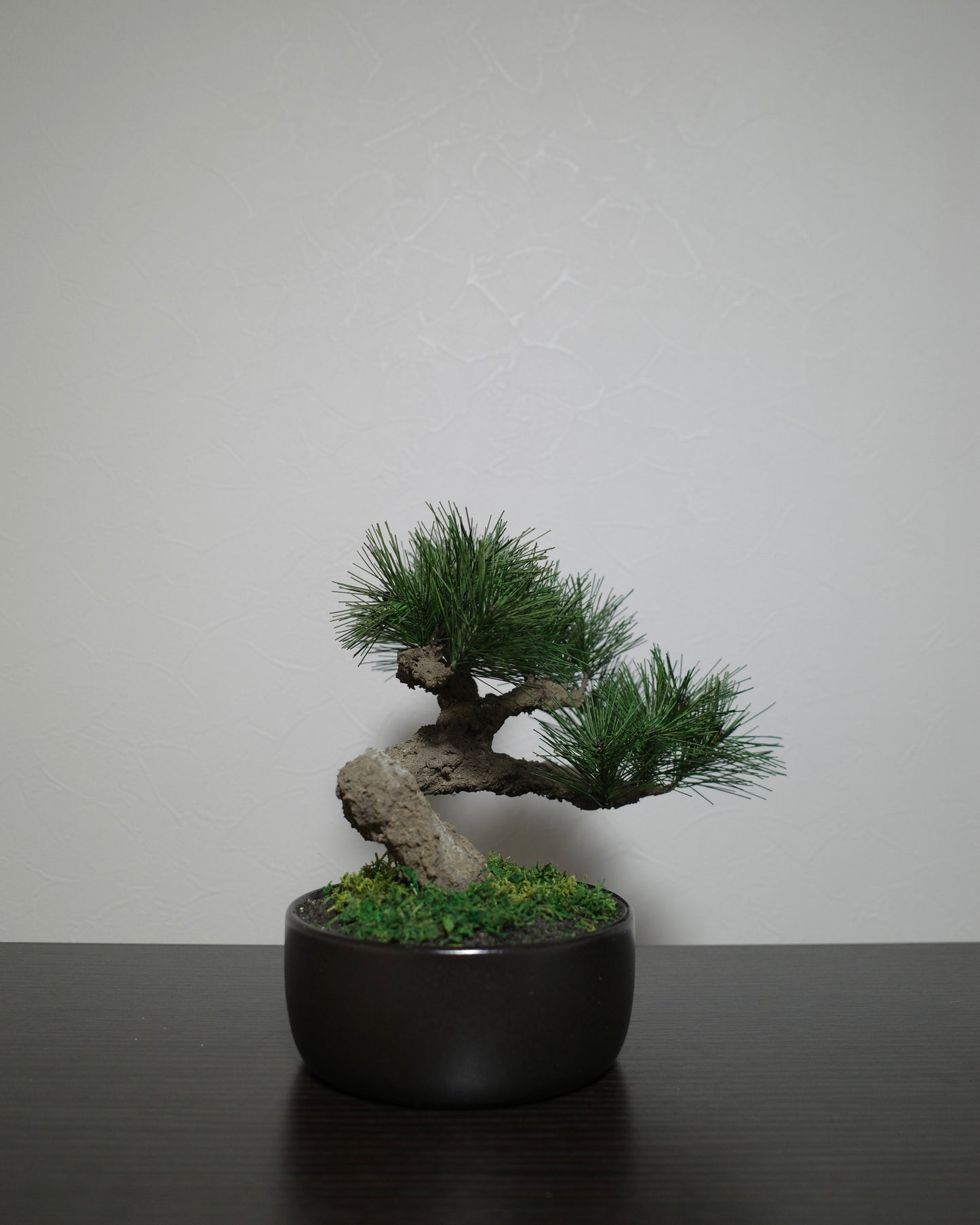 フェイク盆栽 盆栽 bonsai shirabe シラベ ハンドメイド 和モダン 店舗インテリア 空間演出
