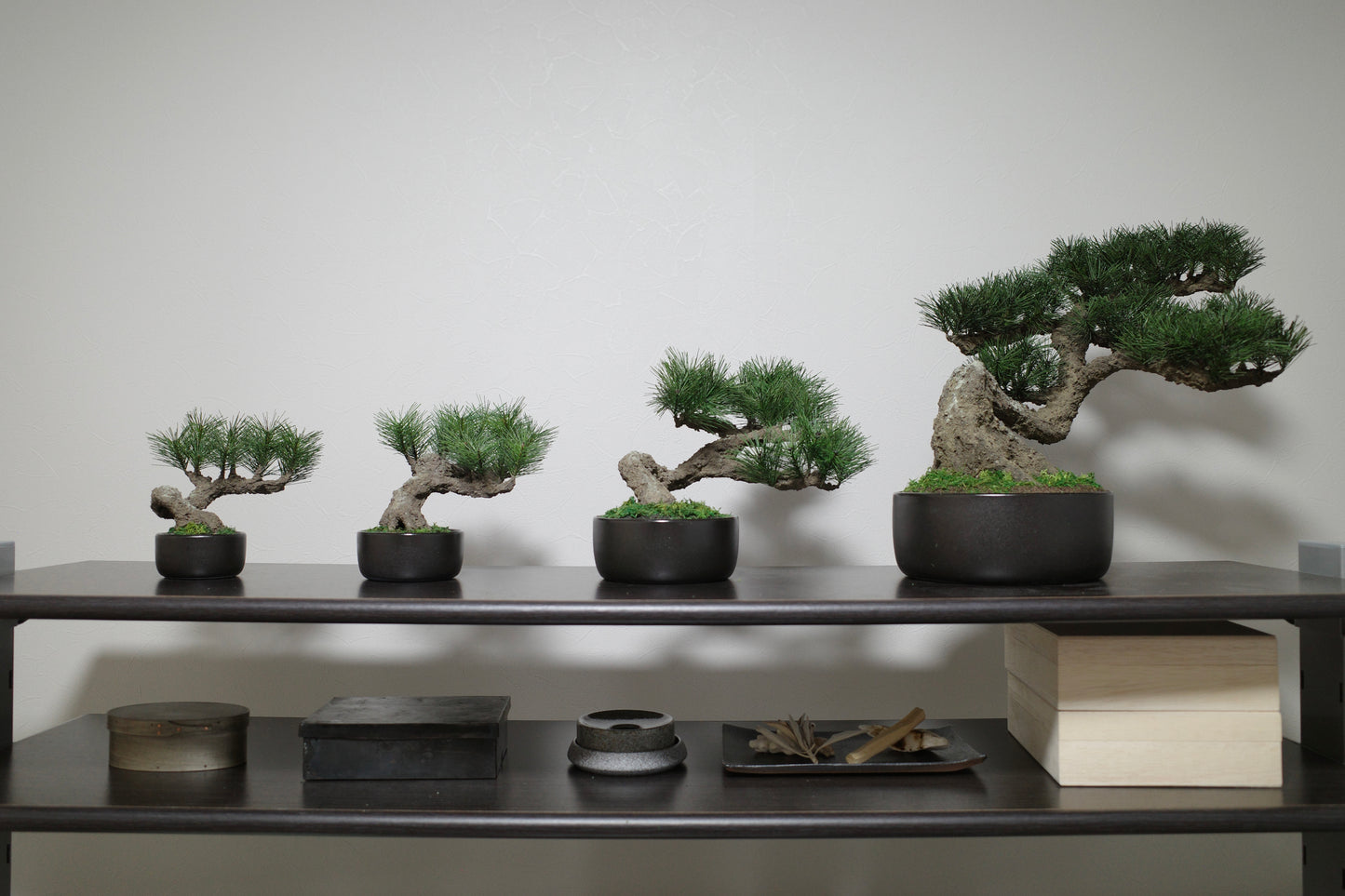 フェイク盆栽 盆栽 bonsai shirabe シラベ ハンドメイド 和モダン 店舗インテリア 空間演出