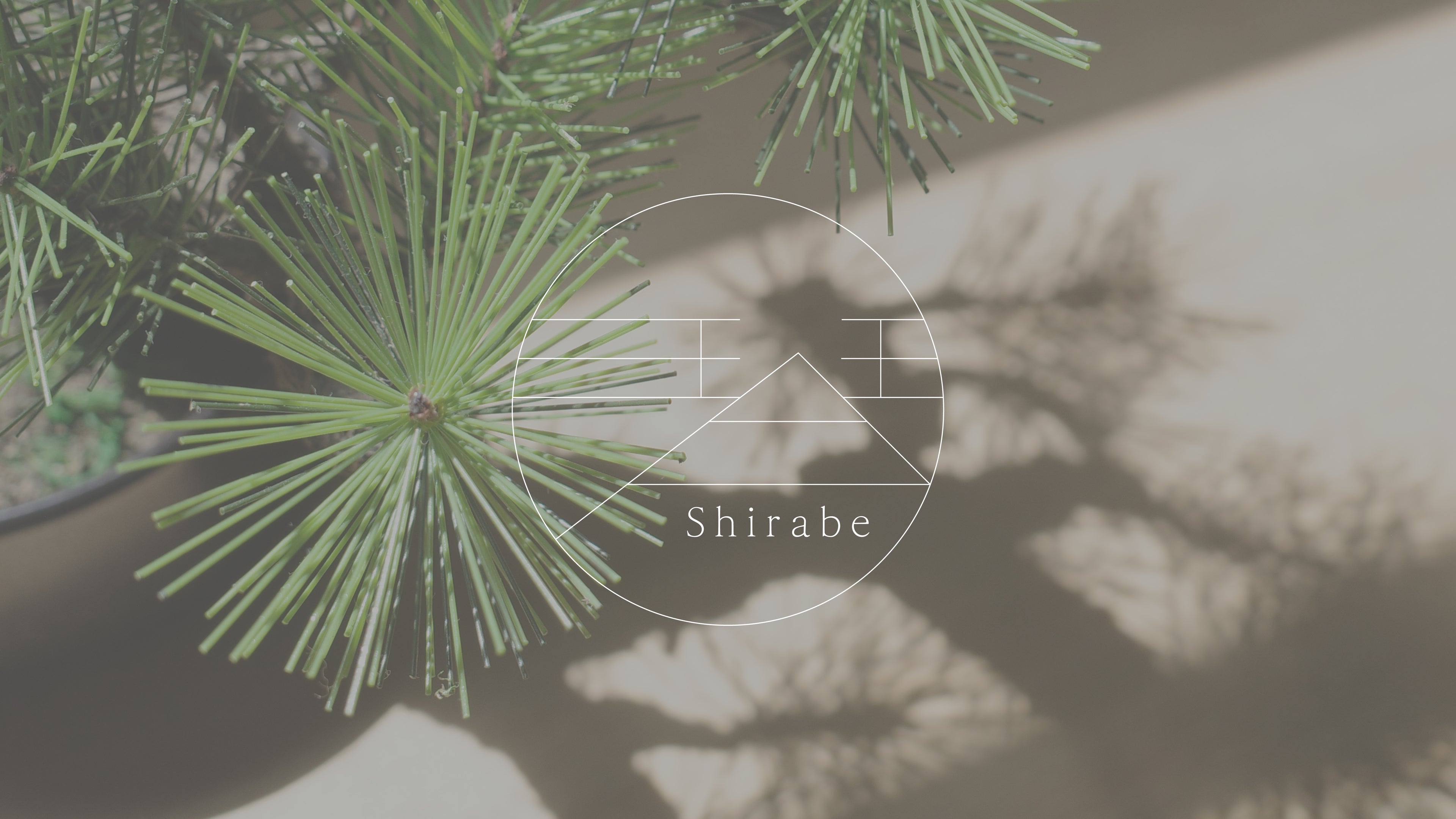 フェイク盆栽 shirabe ロゴ 盆栽 ハンドメイド 和モダン 店舗インテリア 空間演出