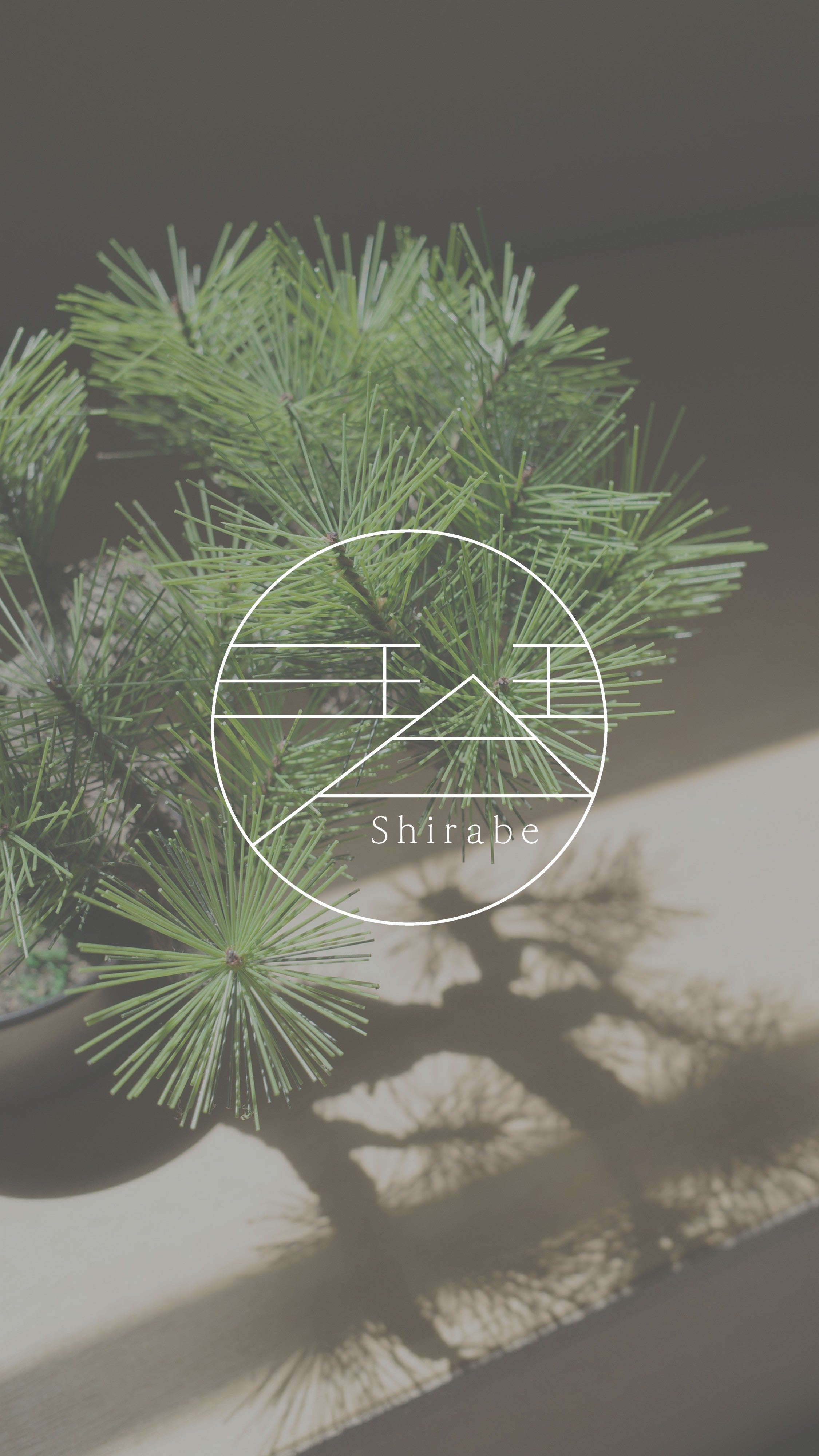 shirabe ロゴ 盆栽 ハンドメイド 和モダン 店舗インテリア 空間演出