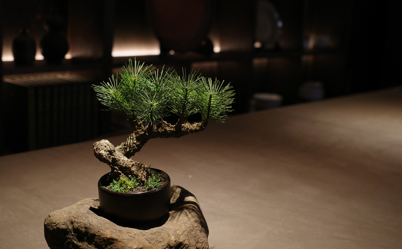 フェイク盆栽 盆栽 bonsai shirabe シラベ ハンドメイド 和モダン 店舗インテリア 空間演出
