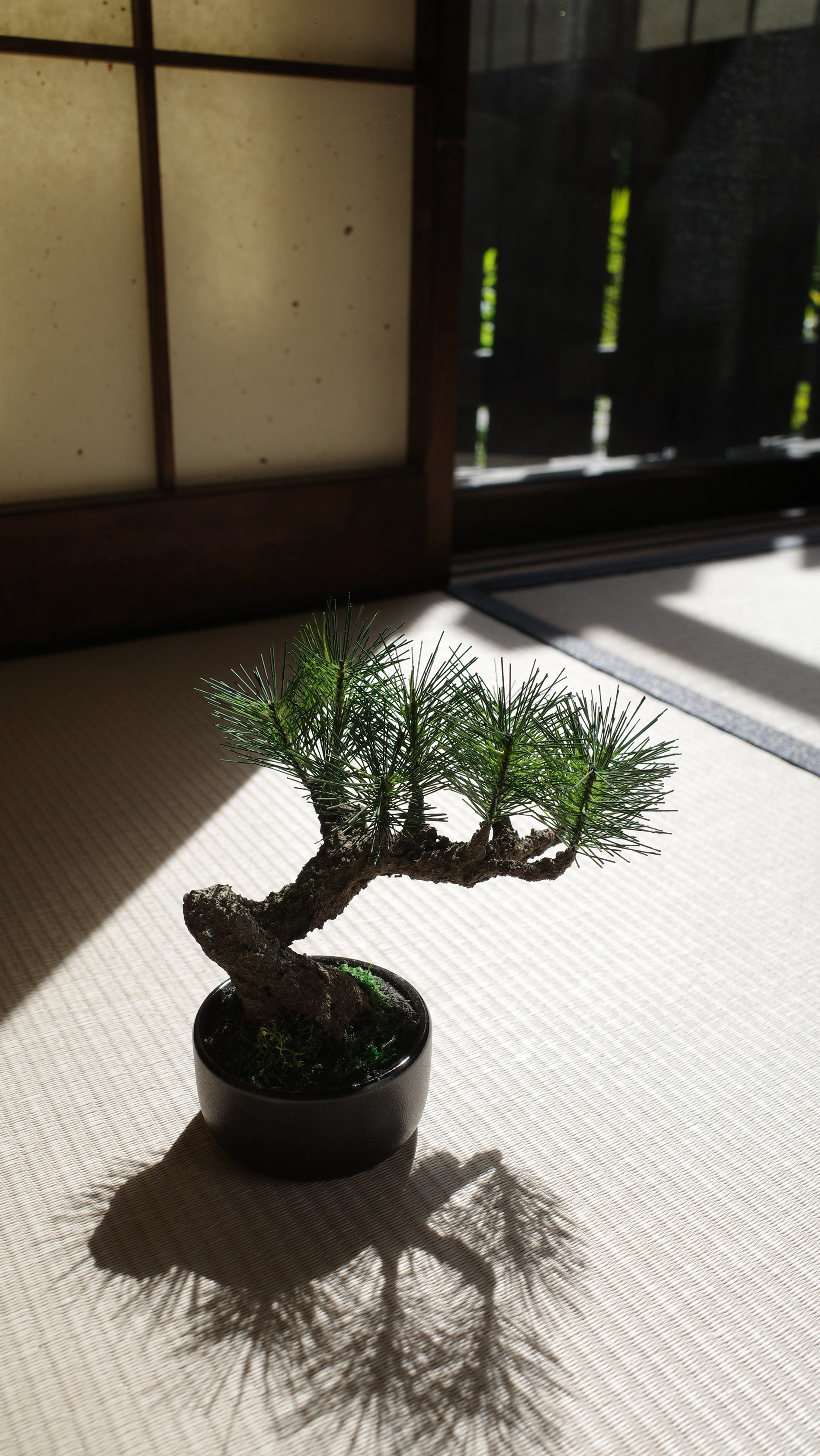 フェイク盆栽 盆栽 bonsai shirabe シラベ ハンドメイド 和モダン 店舗インテリア 空間演出
