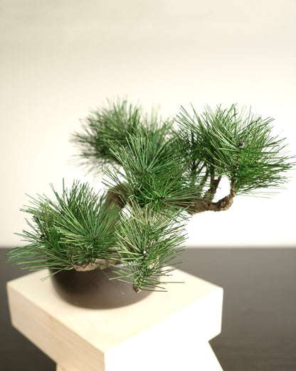 フェイク盆栽 盆栽 人口盆栽 アーティフィシャル盆栽 bonsai shirabe シラベ ハンドメイド 和モダン ジャパンディ