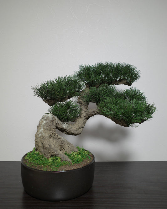 フェイク盆栽 盆栽 bonsai shirabe シラベ ハンドメイド 和モダン 店舗インテリア 空間演出