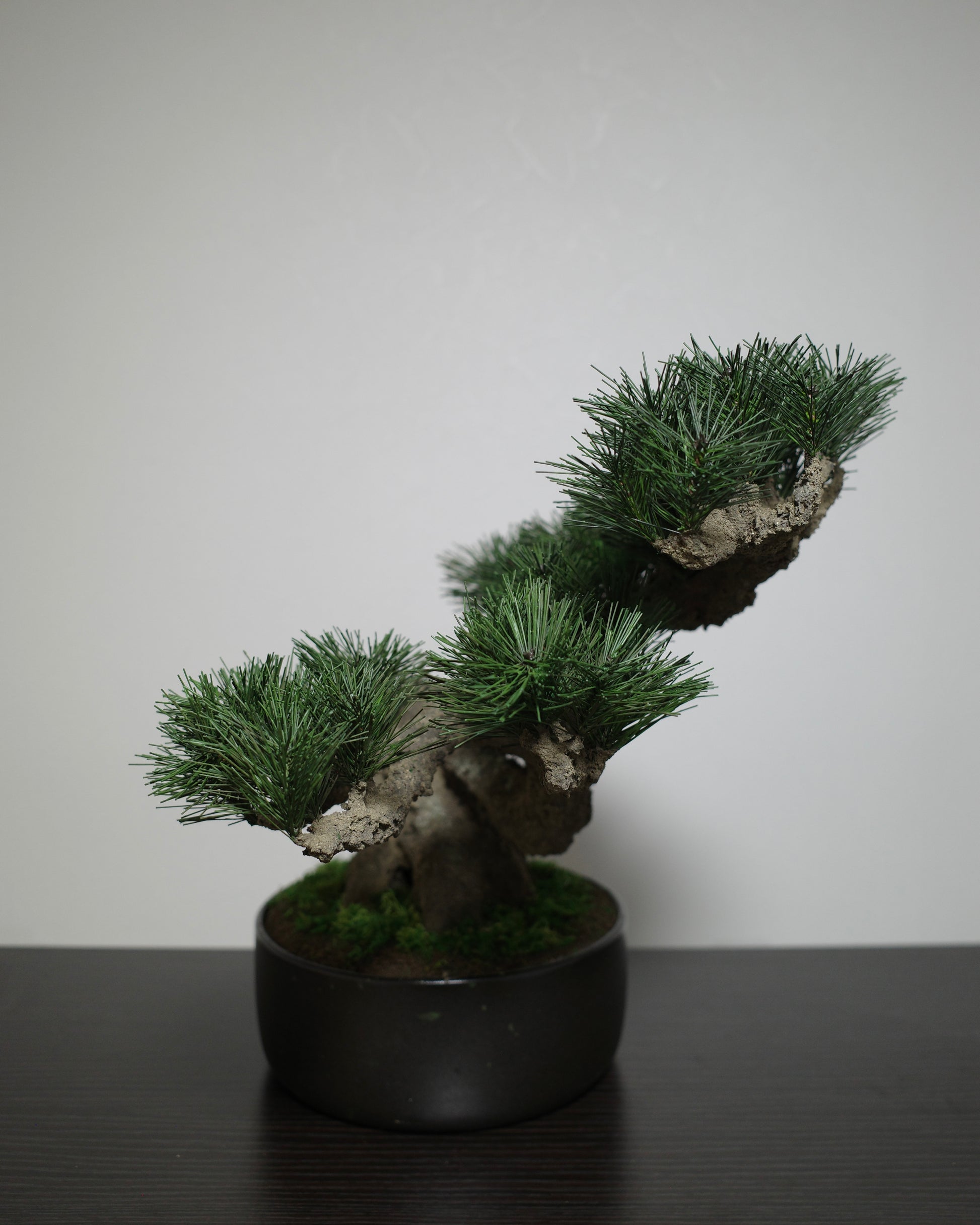フェイク盆栽 盆栽 bonsai shirabe シラベ ハンドメイド 和モダン 店舗インテリア 空間演出