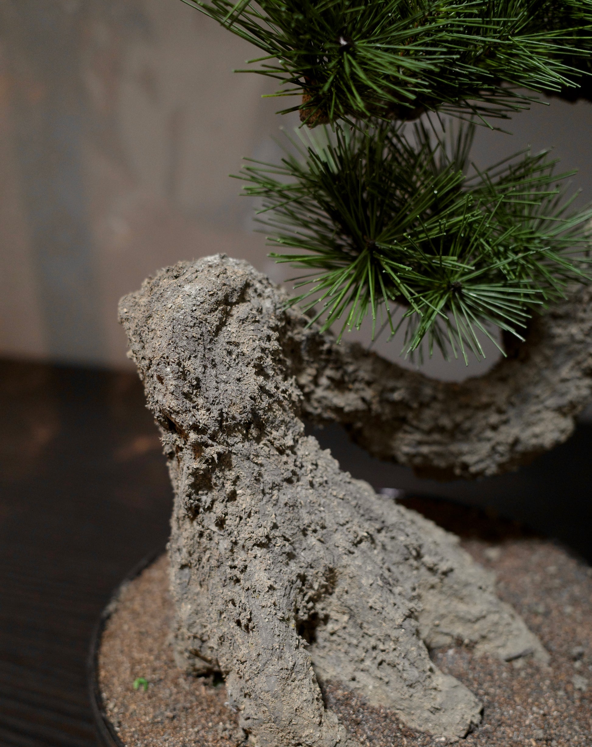 フェイク盆栽 盆栽 人口盆栽 アーティフィシャル盆栽 bonsai shirabe シラベ ハンドメイド 和モダン ジャパンディ