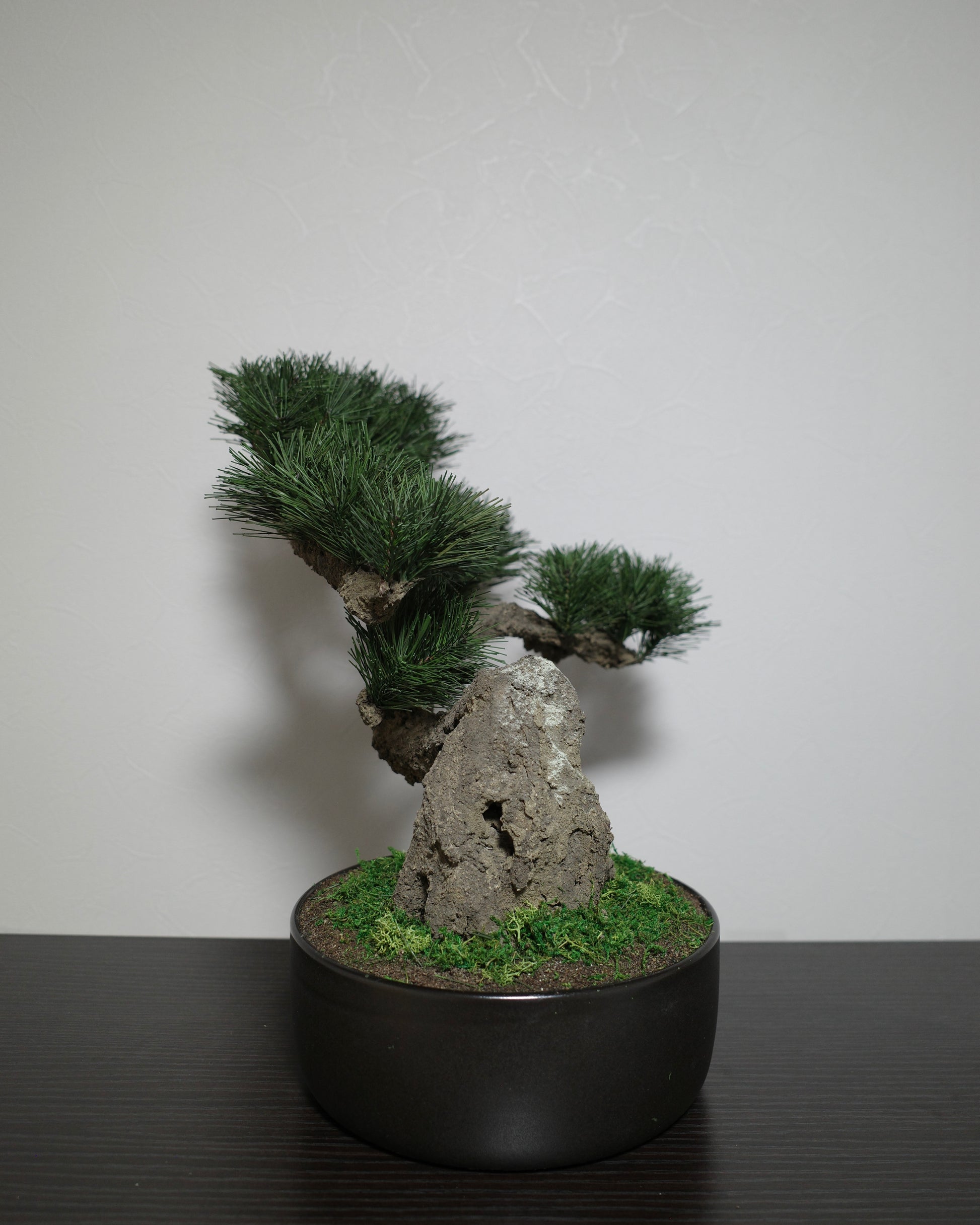 フェイク盆栽 盆栽 bonsai shirabe シラベ ハンドメイド 和モダン 店舗インテリア 空間演出