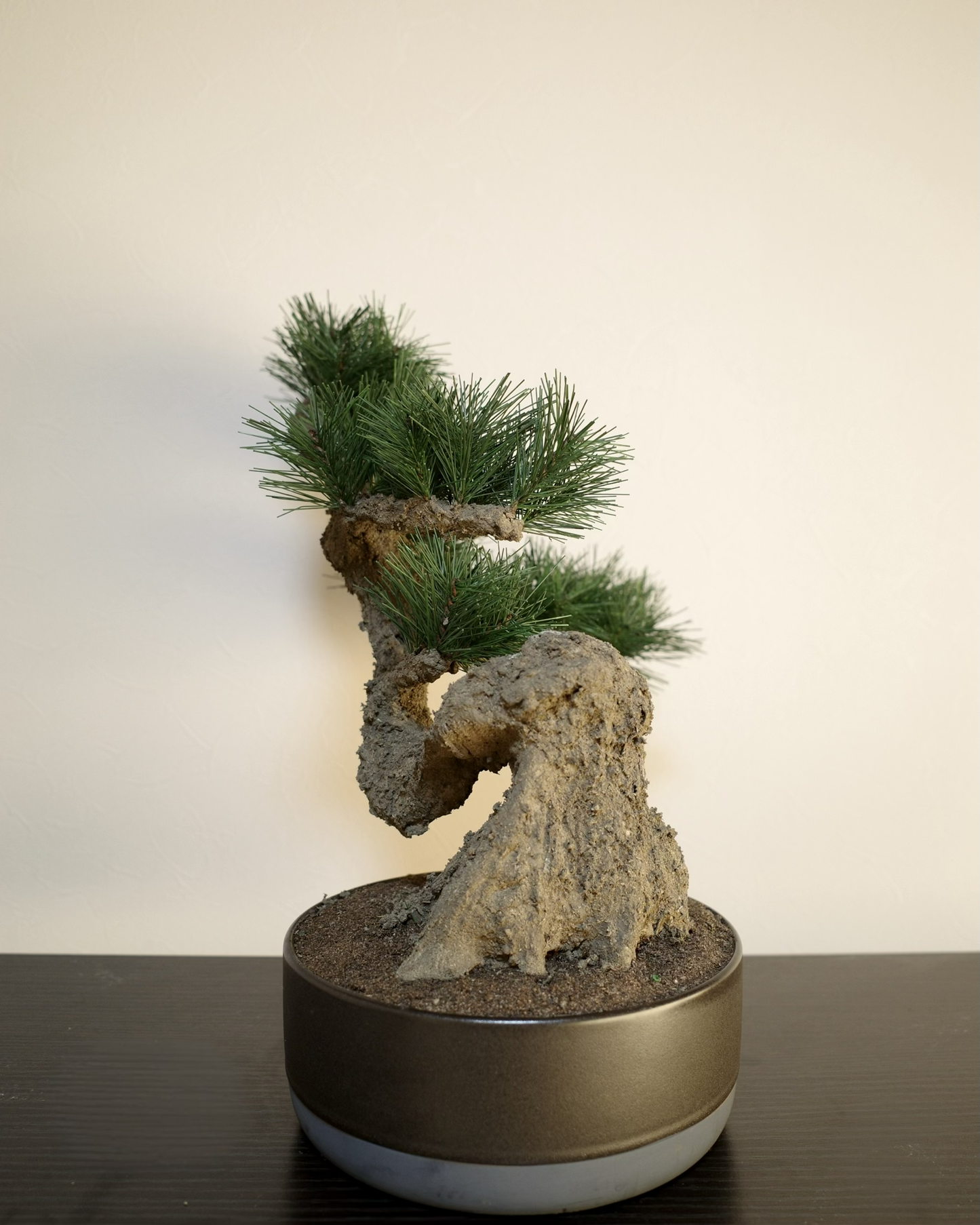 フェイク盆栽 盆栽 人口盆栽 アーティフィシャル盆栽 bonsai shirabe シラベ ハンドメイド 和モダン ジャパンディ