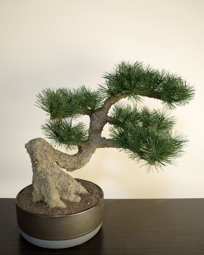 フェイク盆栽 盆栽 人口盆栽 アーティフィシャル盆栽 bonsai shirabe シラベ ハンドメイド 和モダン ジャパンディ