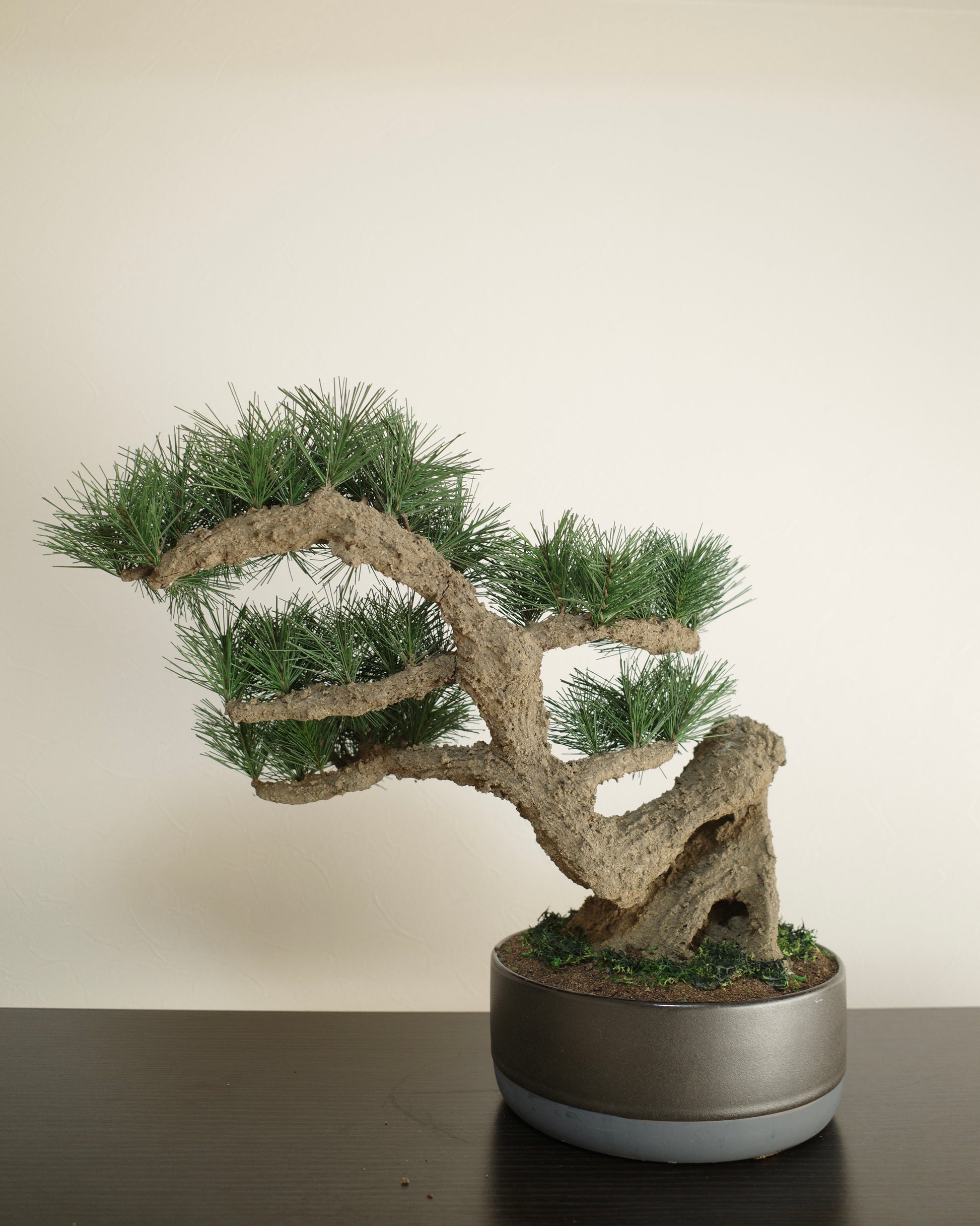 お手入れ不要のインテリア盆栽 Modern Bonsai（モダン盆栽）のLLの商品イメージ｜背面