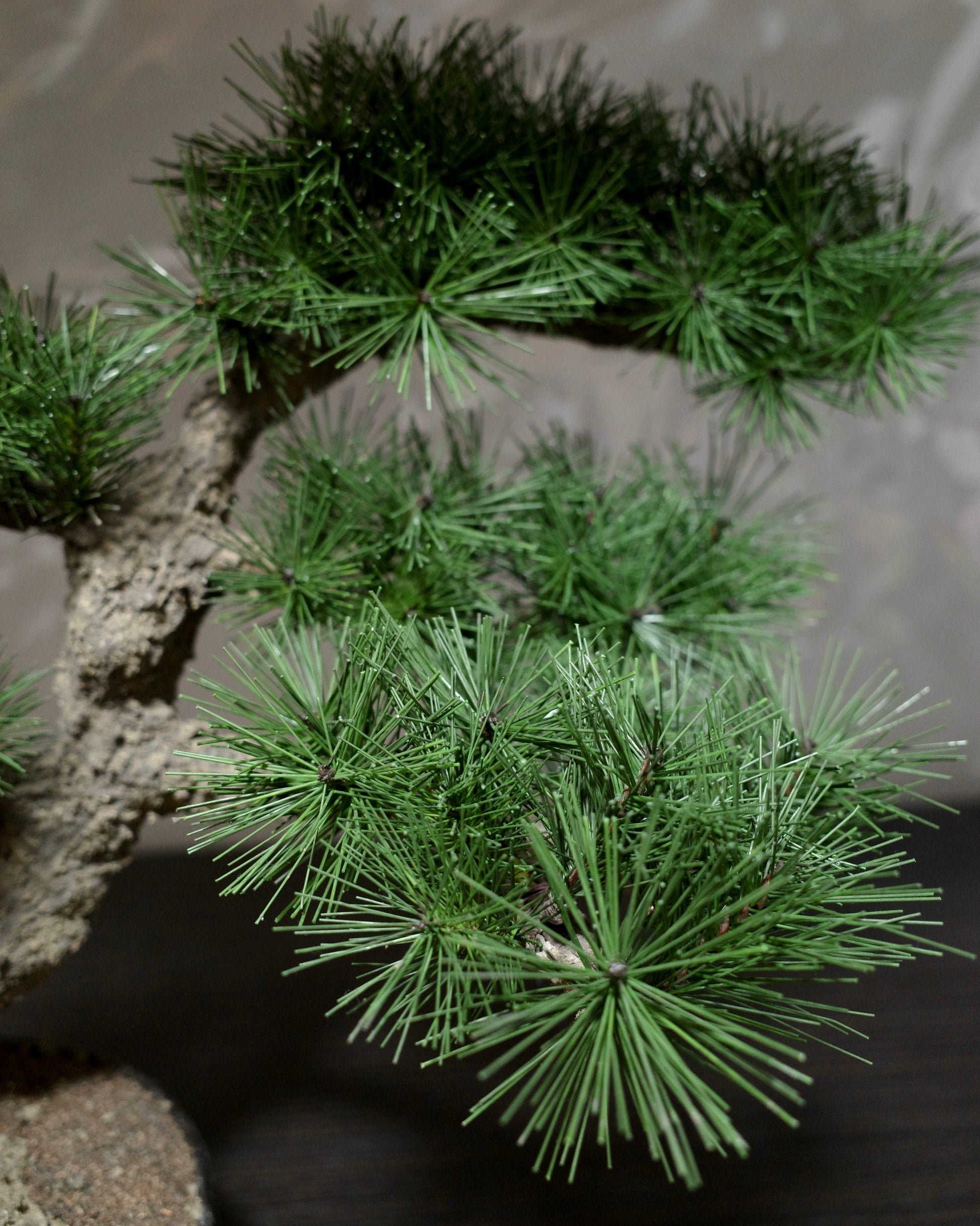 フェイク盆栽 盆栽 人口盆栽 アーティフィシャル盆栽 bonsai shirabe シラベ ハンドメイド 和モダン ジャパンディ