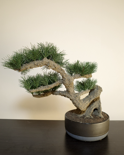 フェイク盆栽 盆栽 人口盆栽 アーティフィシャル盆栽 bonsai shirabe シラベ ハンドメイド 和モダン ジャパンディ