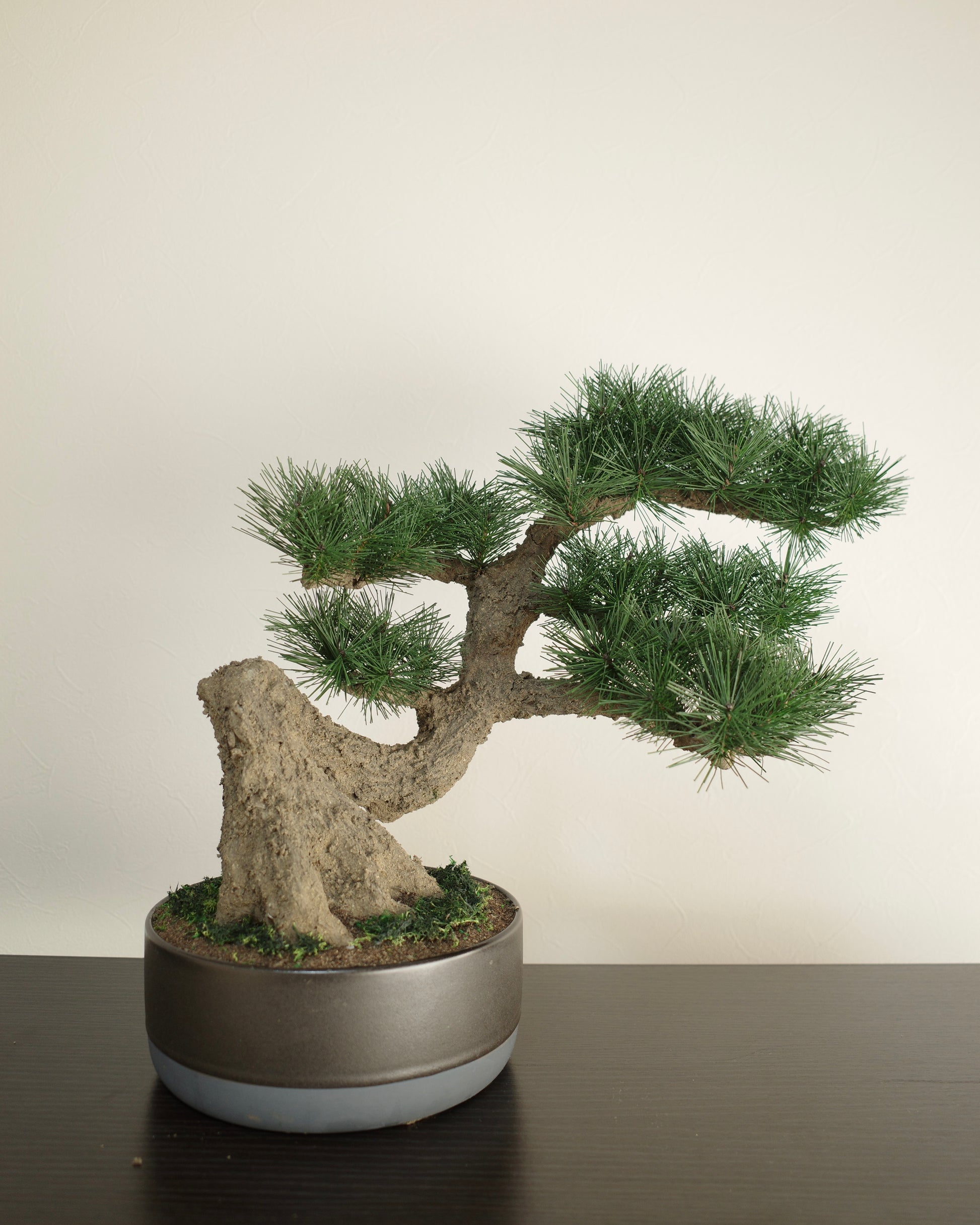 お手入れ不要のインテリア盆栽 Modern Bonsai（モダン盆栽）のLLの商品イメージ｜正面
