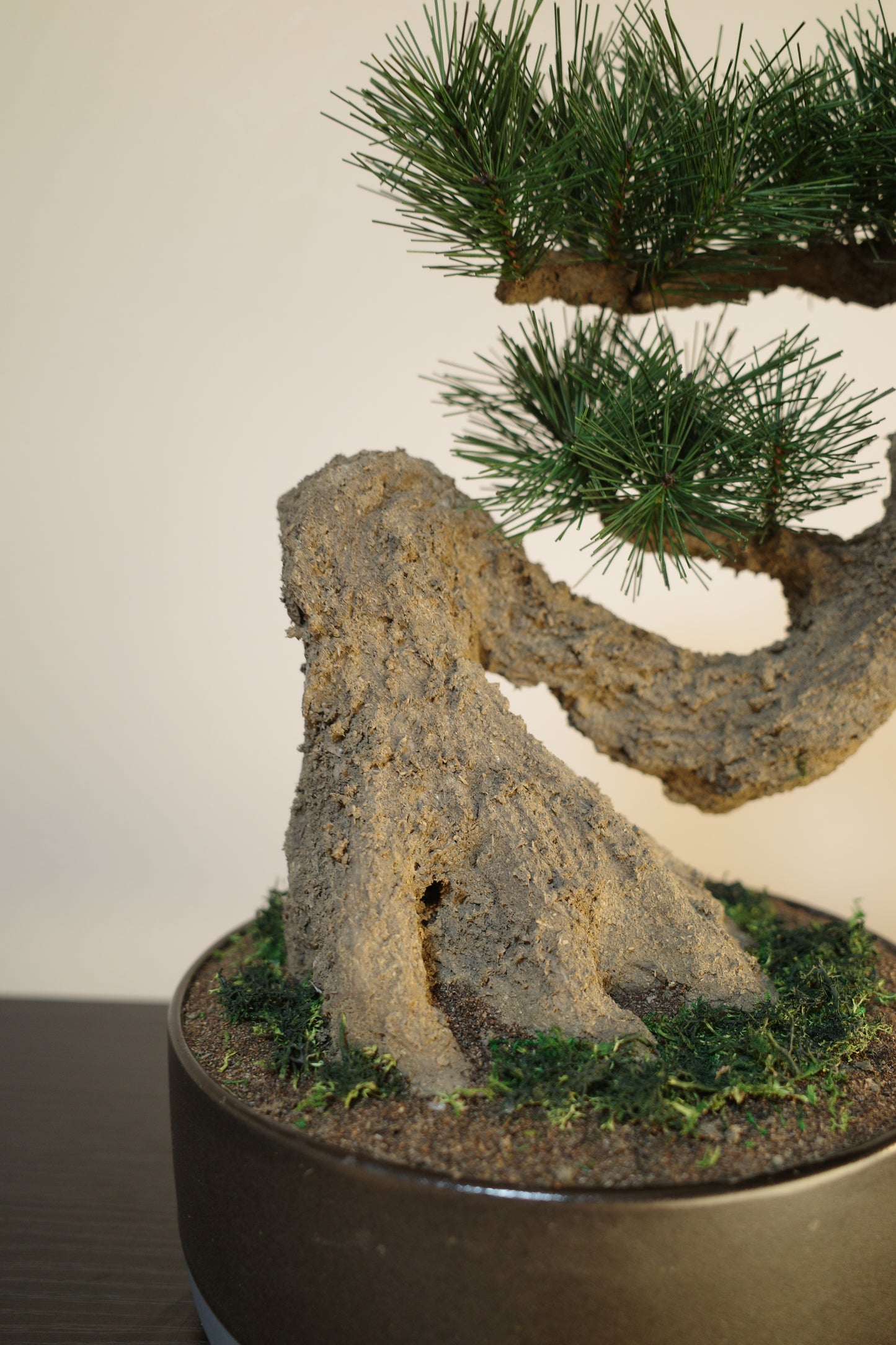 お手入れ不要のインテリア盆栽 Modern Bonsai（モダン盆栽）のLLの商品イメージ｜根本と苔をクローズアップ