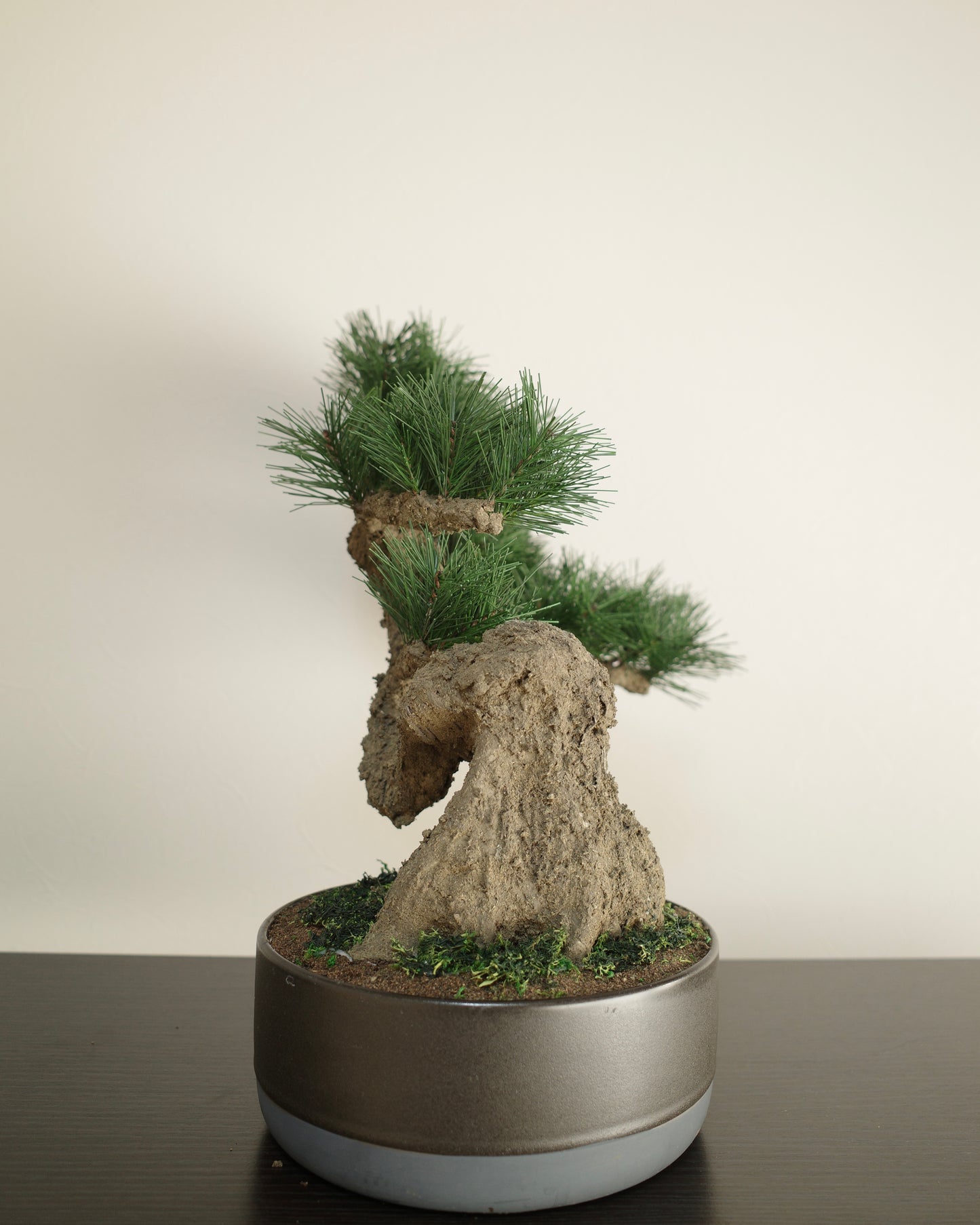 お手入れ不要のインテリア盆栽 Modern Bonsai（モダン盆栽）のLLの商品イメージ｜左側面