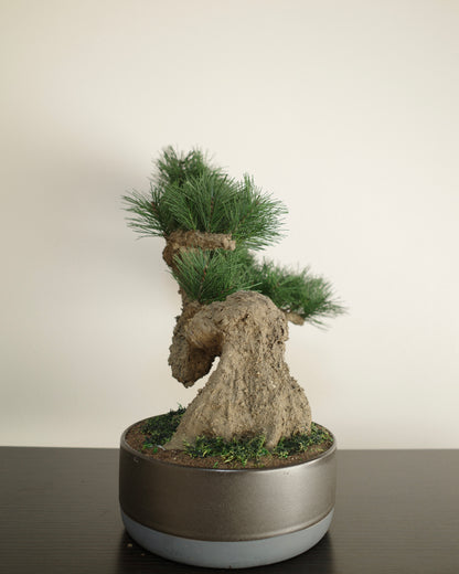 お手入れ不要のインテリア盆栽 Modern Bonsai（モダン盆栽）のLLの商品イメージ｜左側面