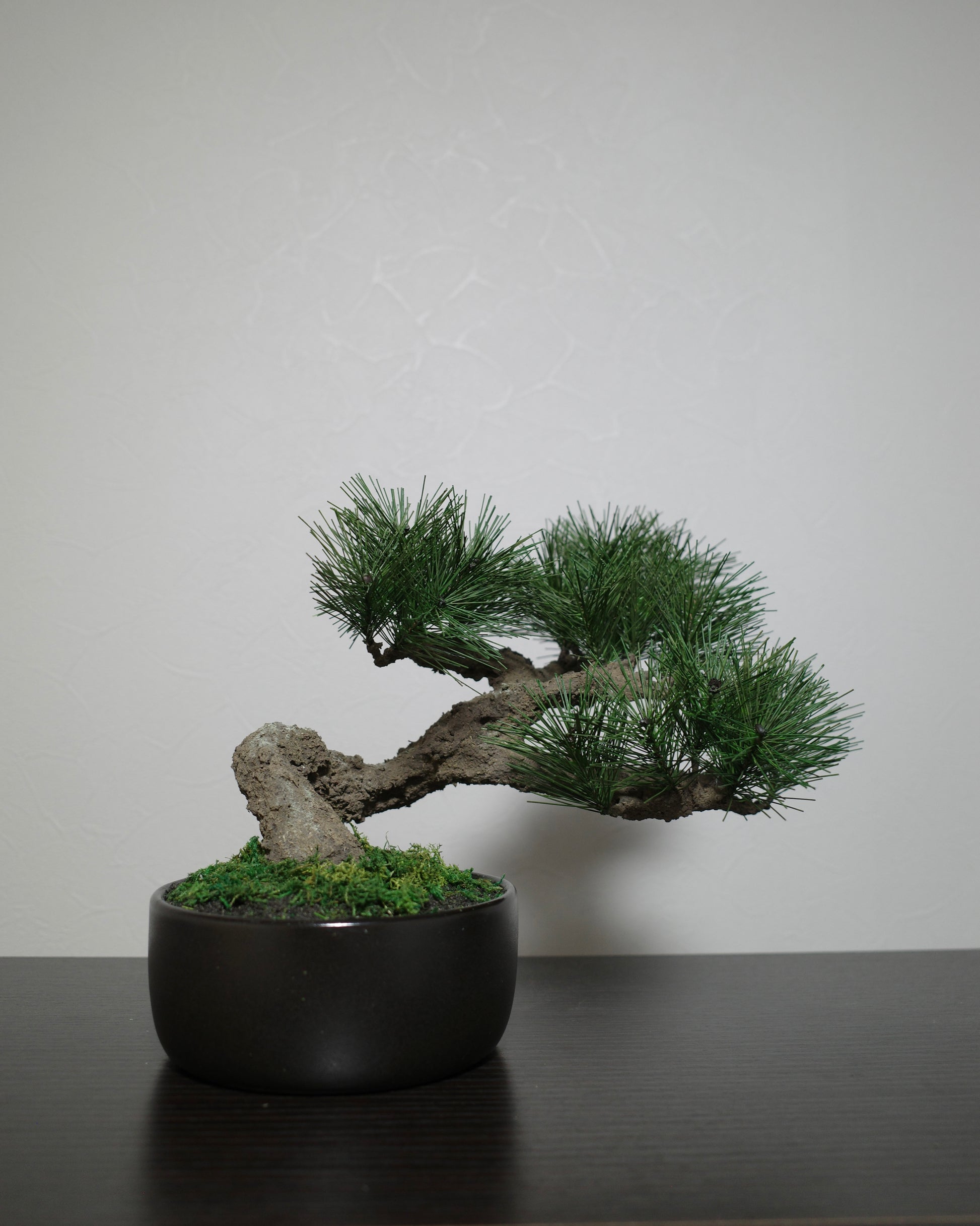フェイク盆栽 盆栽 bonsai shirabe シラベ ハンドメイド 和モダン 店舗インテリア 空間演出
