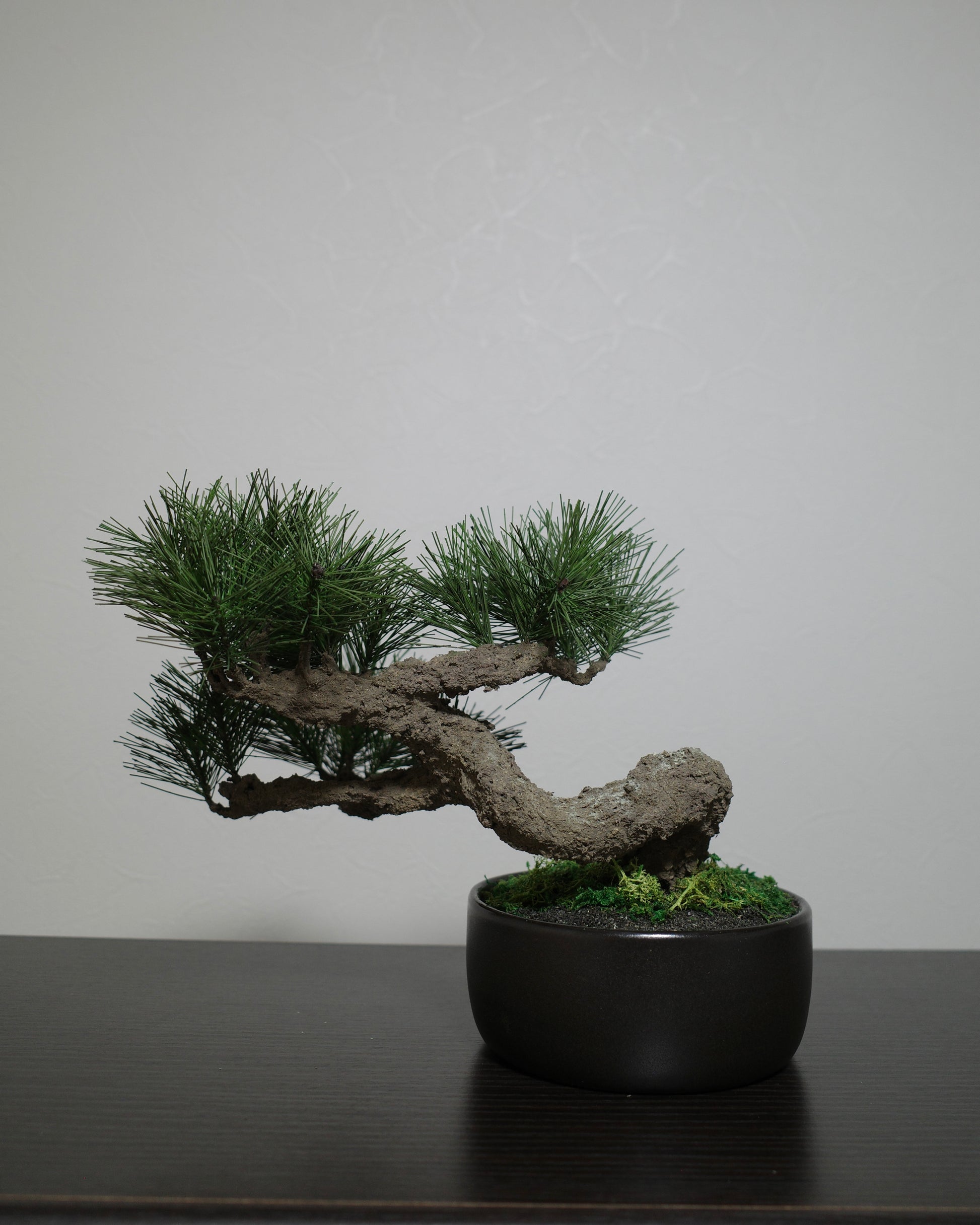フェイク盆栽 盆栽 bonsai shirabe シラベ ハンドメイド 和モダン 店舗インテリア 空間演出