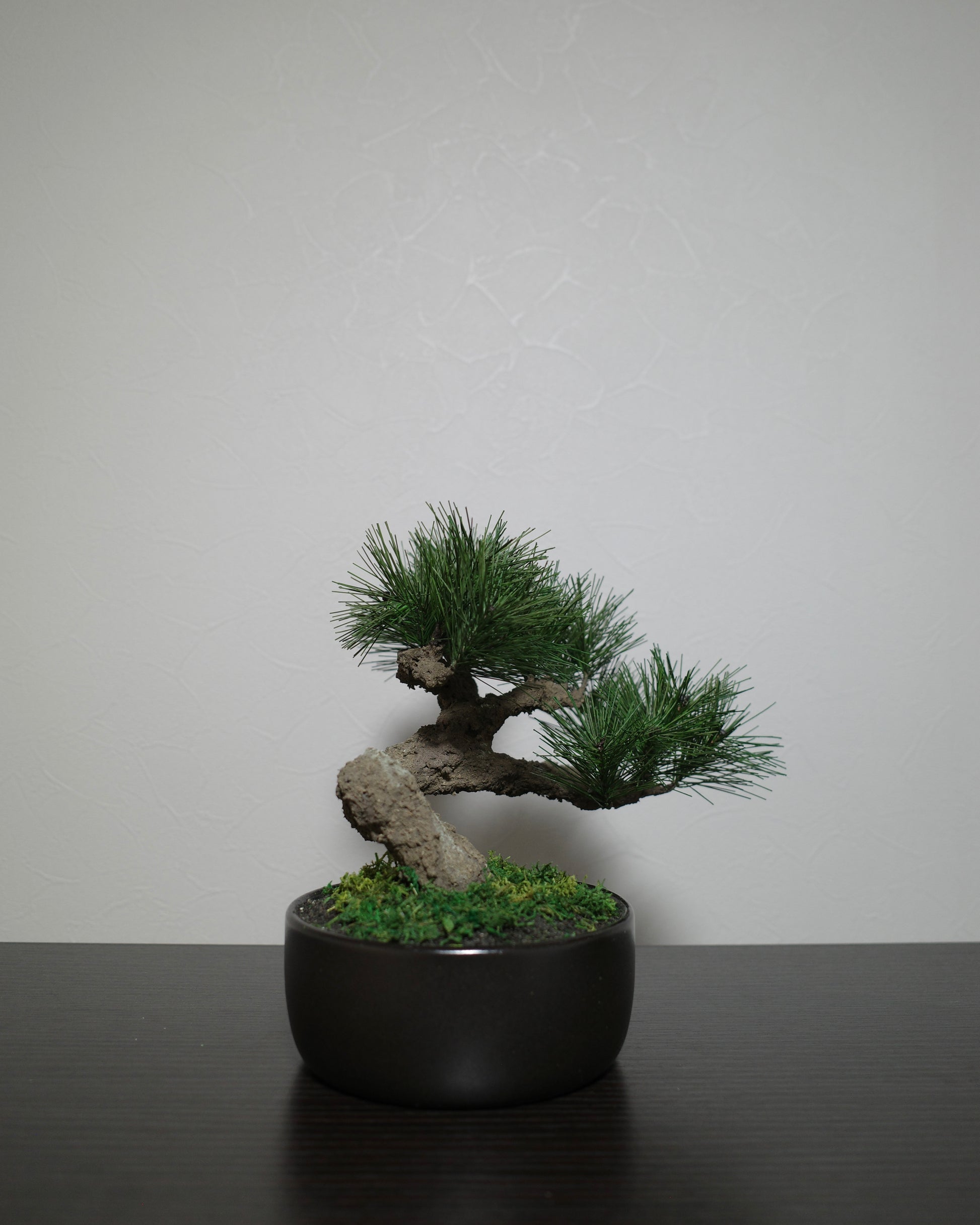 フェイク盆栽 盆栽 bonsai shirabe シラベ ハンドメイド 和モダン 店舗インテリア 空間演出