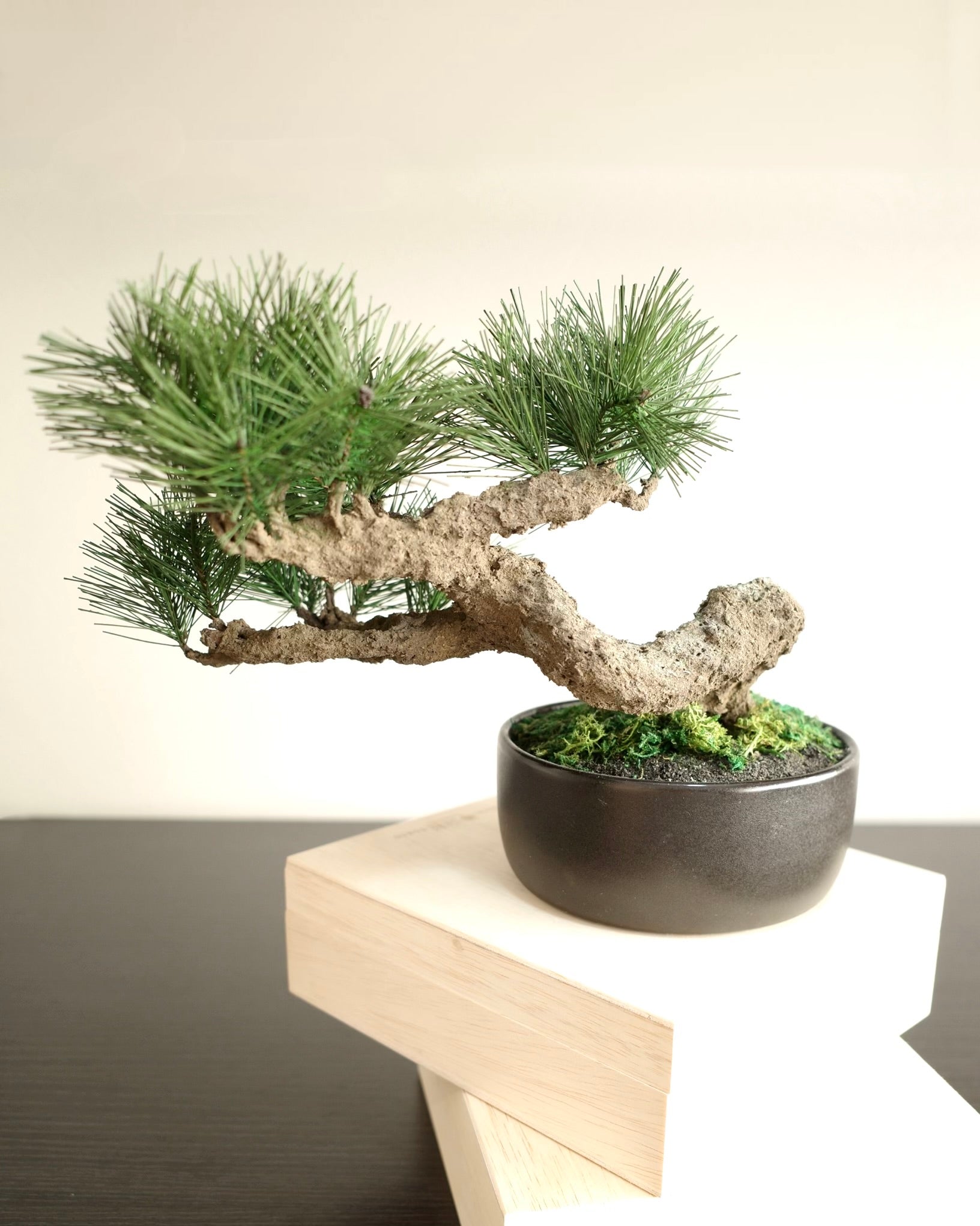 お手入れ不要のインテリア盆栽 Modern Bonsai（モダン盆栽）のLサイズ｜背面