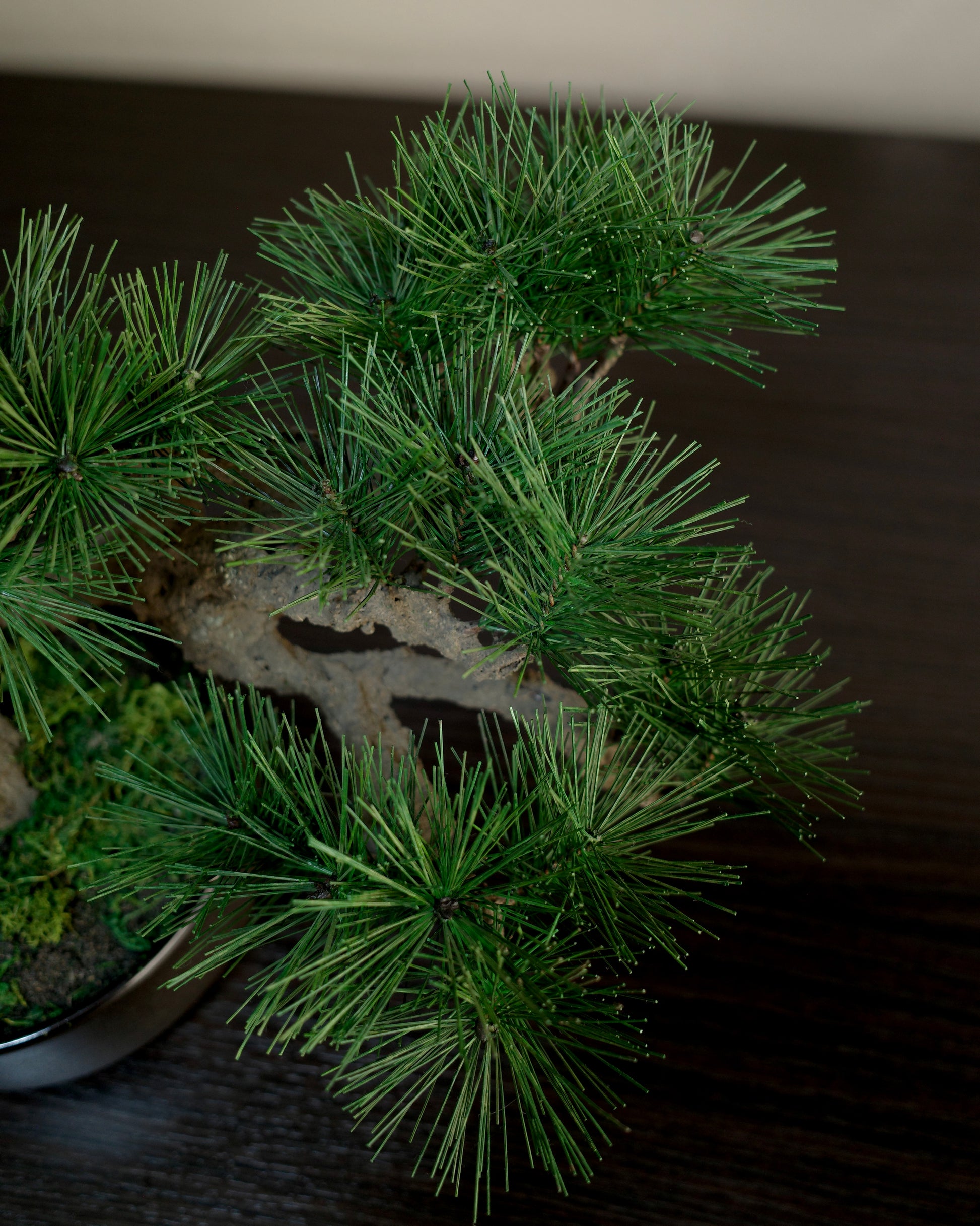 お手入れ不要のインテリア盆栽 Modern Bonsai（モダン盆栽）のLサイズ｜松葉のクローズアップ