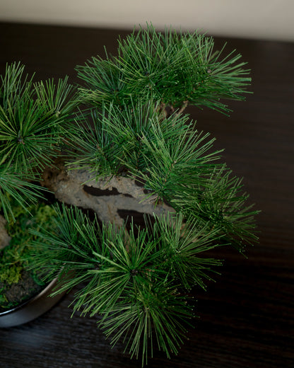 お手入れ不要のインテリア盆栽 Modern Bonsai（モダン盆栽）のLサイズ｜松葉のクローズアップ