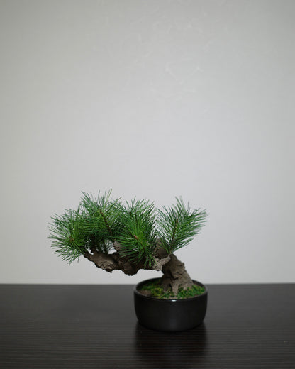 フェイク盆栽 盆栽 bonsai shirabe シラベ ハンドメイド 和モダン 店舗インテリア 空間演出
