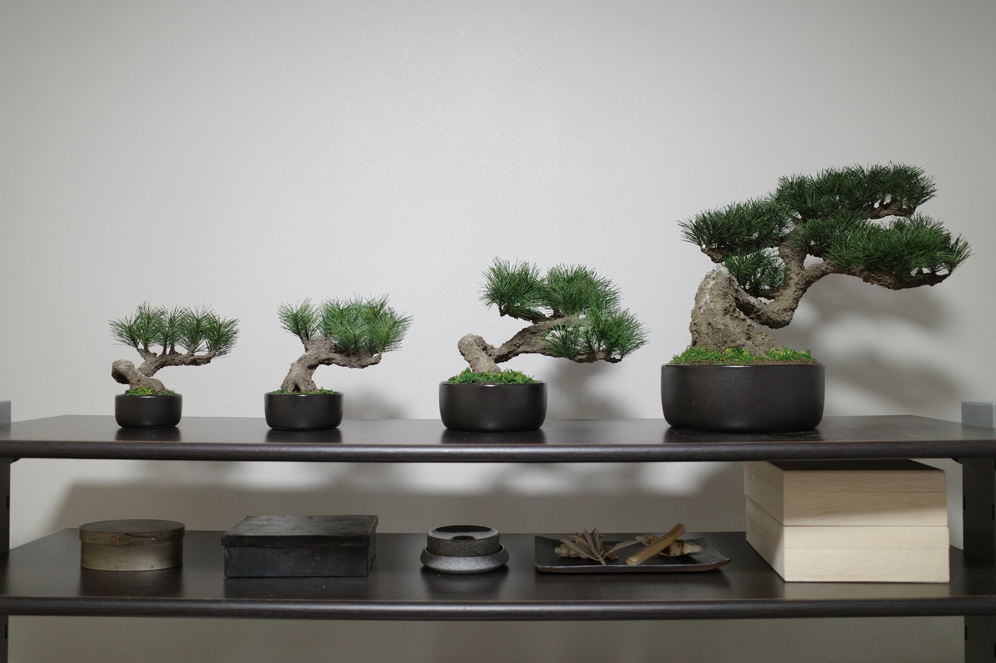 フェイク盆栽 盆栽 bonsai shirabe シラベ ハンドメイド 和モダン 店舗インテリア 空間演出