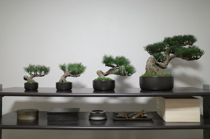 フェイク盆栽 盆栽 bonsai shirabe シラベ ハンドメイド 和モダン 店舗インテリア 空間演出
