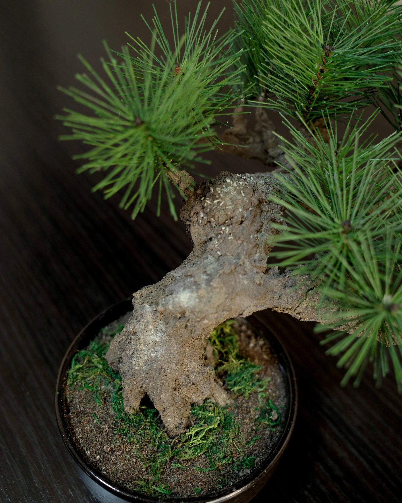 フェイク盆栽 盆栽 人口盆栽 アーティフィシャル盆栽 bonsai shirabe シラベ ハンドメイド 和モダン ジャパンディ