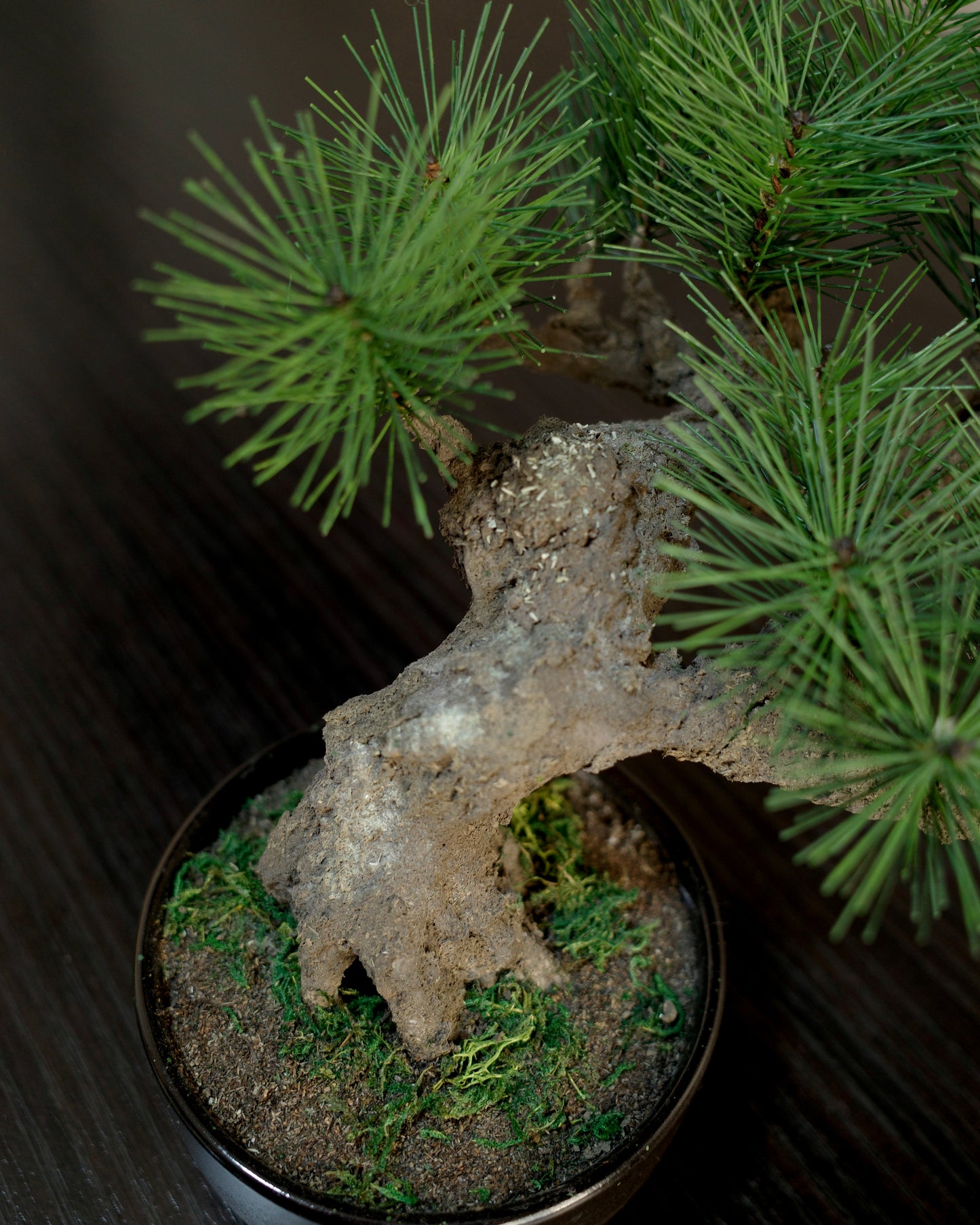 フェイク盆栽 盆栽 人口盆栽 アーティフィシャル盆栽 bonsai shirabe シラベ ハンドメイド 和モダン ジャパンディ