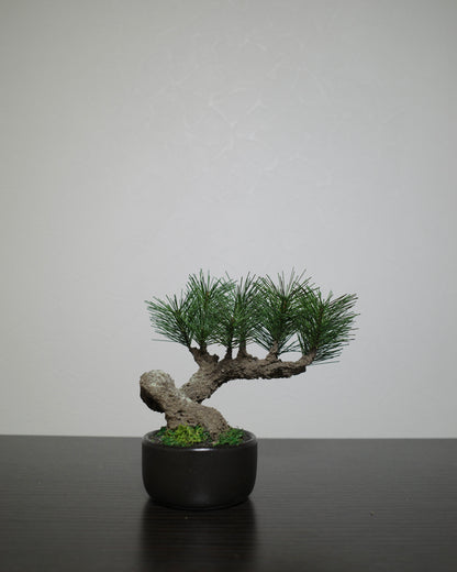 フェイク盆栽 盆栽 bonsai shirabe シラベ ハンドメイド 和モダン 店舗インテリア 空間演出