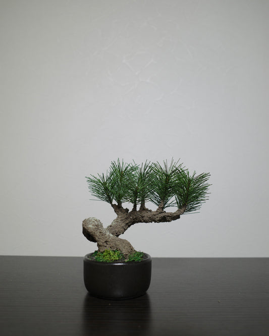 フェイク盆栽 盆栽 bonsai shirabe シラベ ハンドメイド 和モダン 店舗インテリア 空間演出