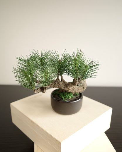 フェイク盆栽 盆栽 人口盆栽 アーティフィシャル盆栽 bonsai shirabe シラベ ハンドメイド 和モダン ジャパンディ