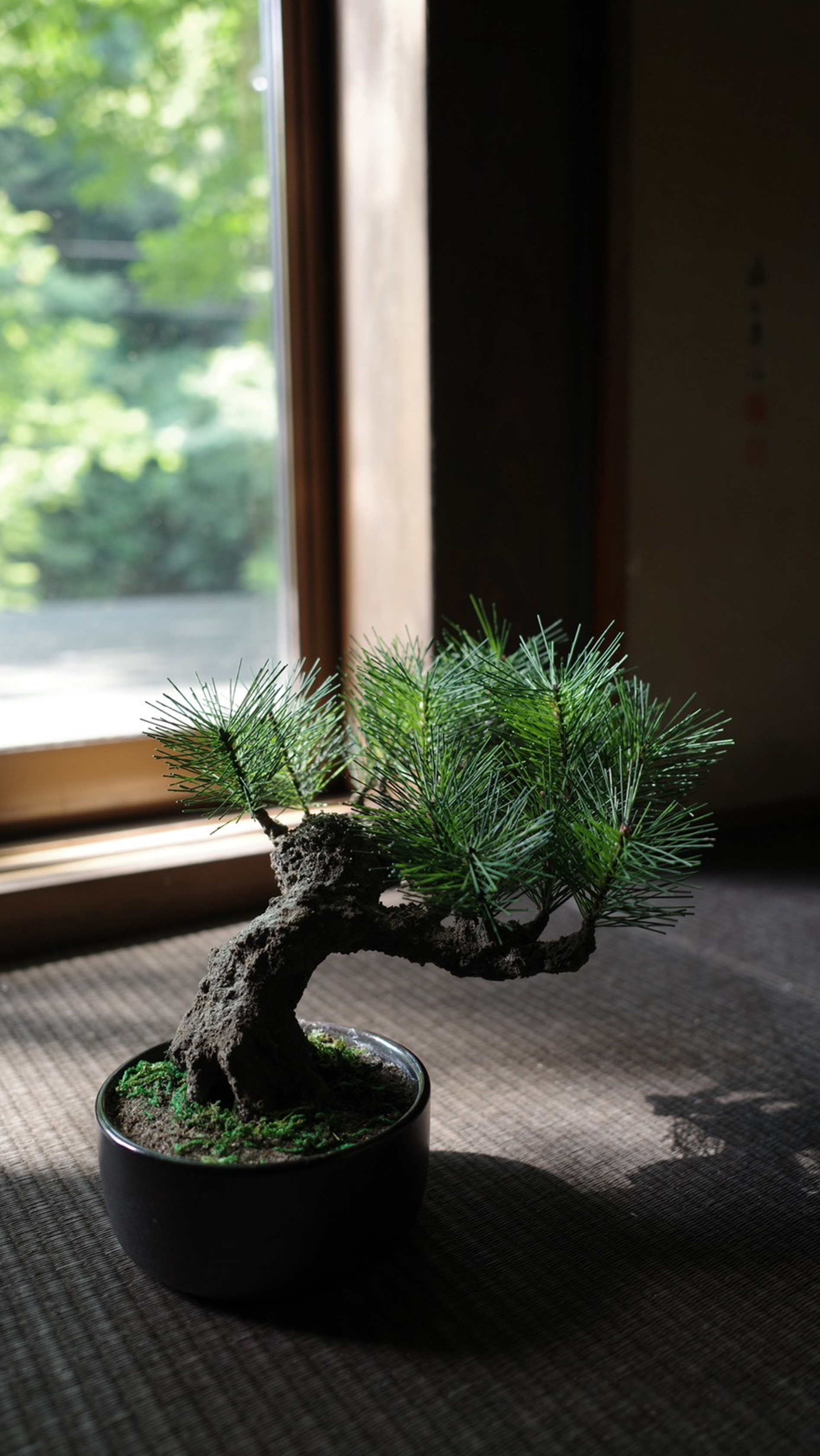 フェイク盆栽 盆栽 bonsai shirabe シラベ ハンドメイド 和モダン 店舗インテリア 空間演出