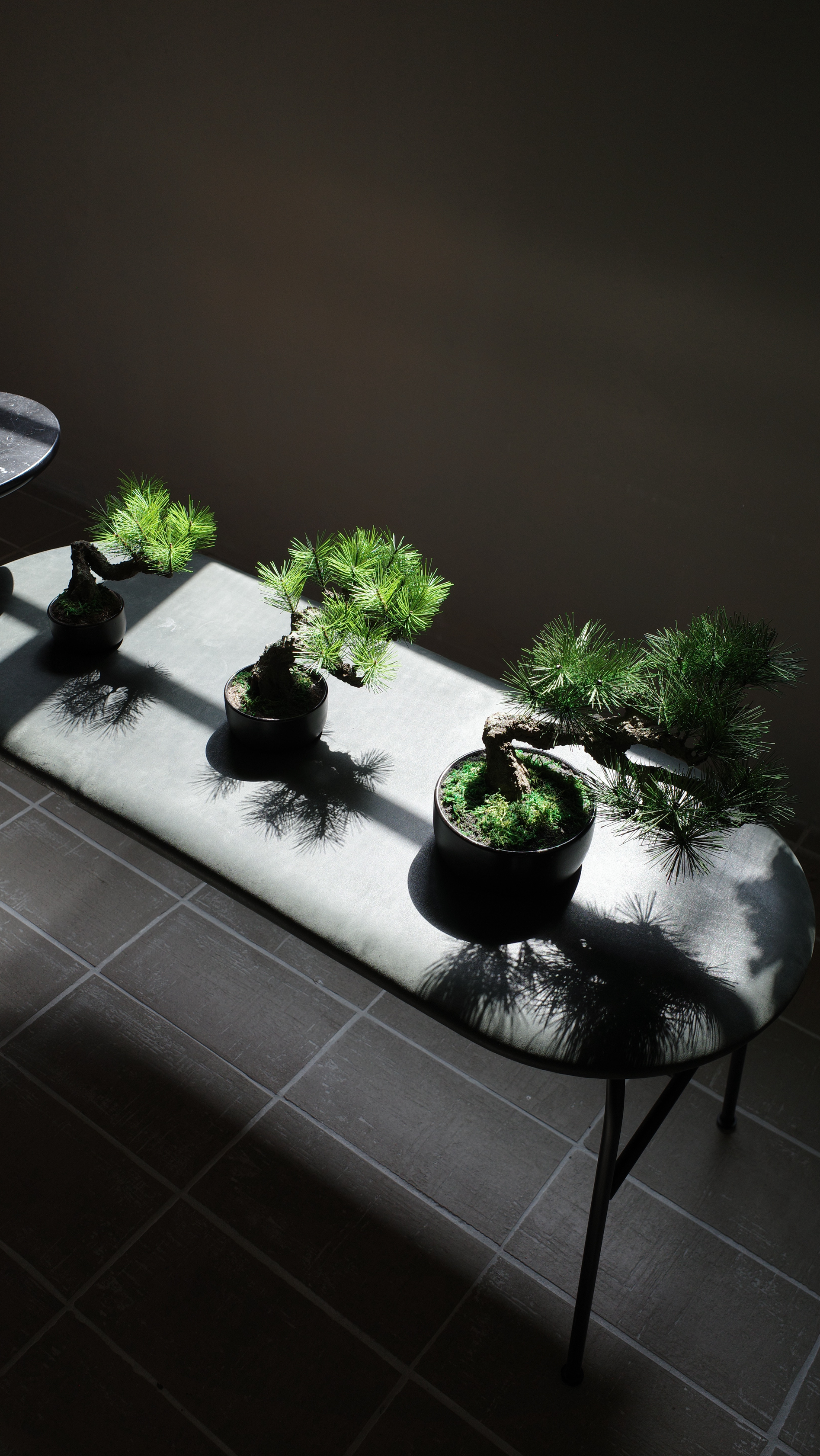 フェイク盆栽 盆栽 bonsai shirabe シラベ ハンドメイド 和モダン 店舗インテリア 空間演出