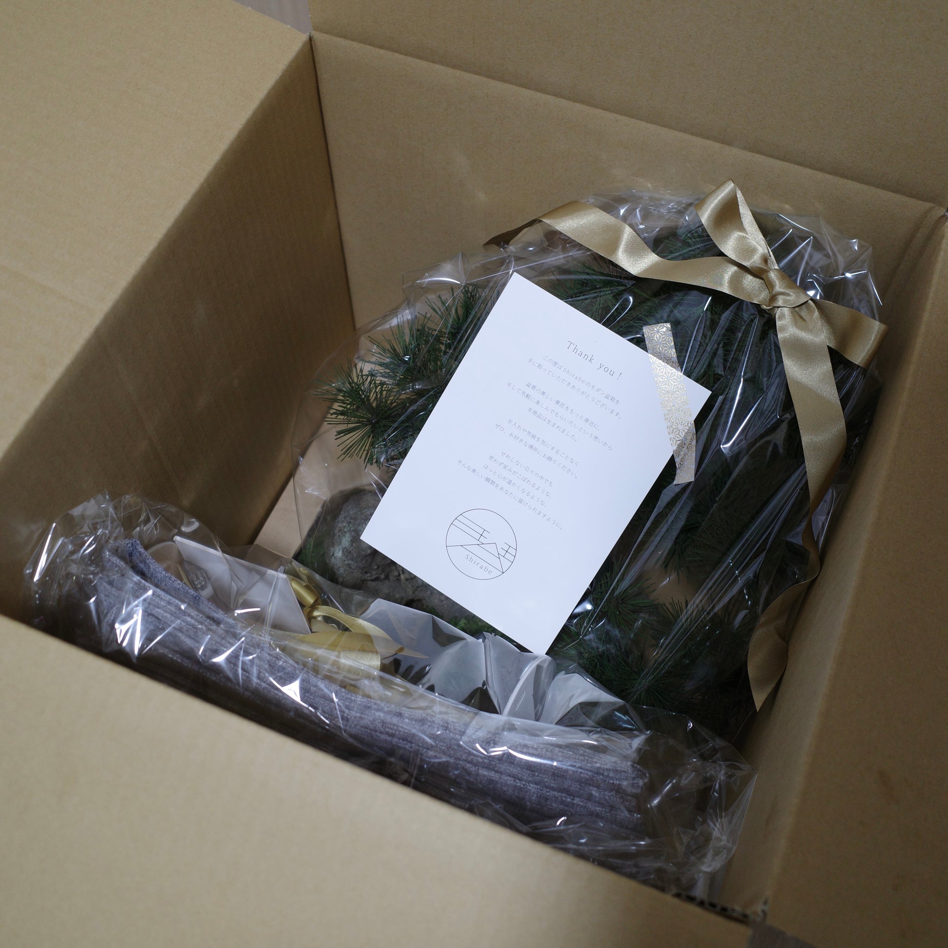 お手入れ不要のインテリア盆栽Shirabe（シラベ）のModern Bonsai（モダン盆栽）の梱包イメージ｜LLサイズ