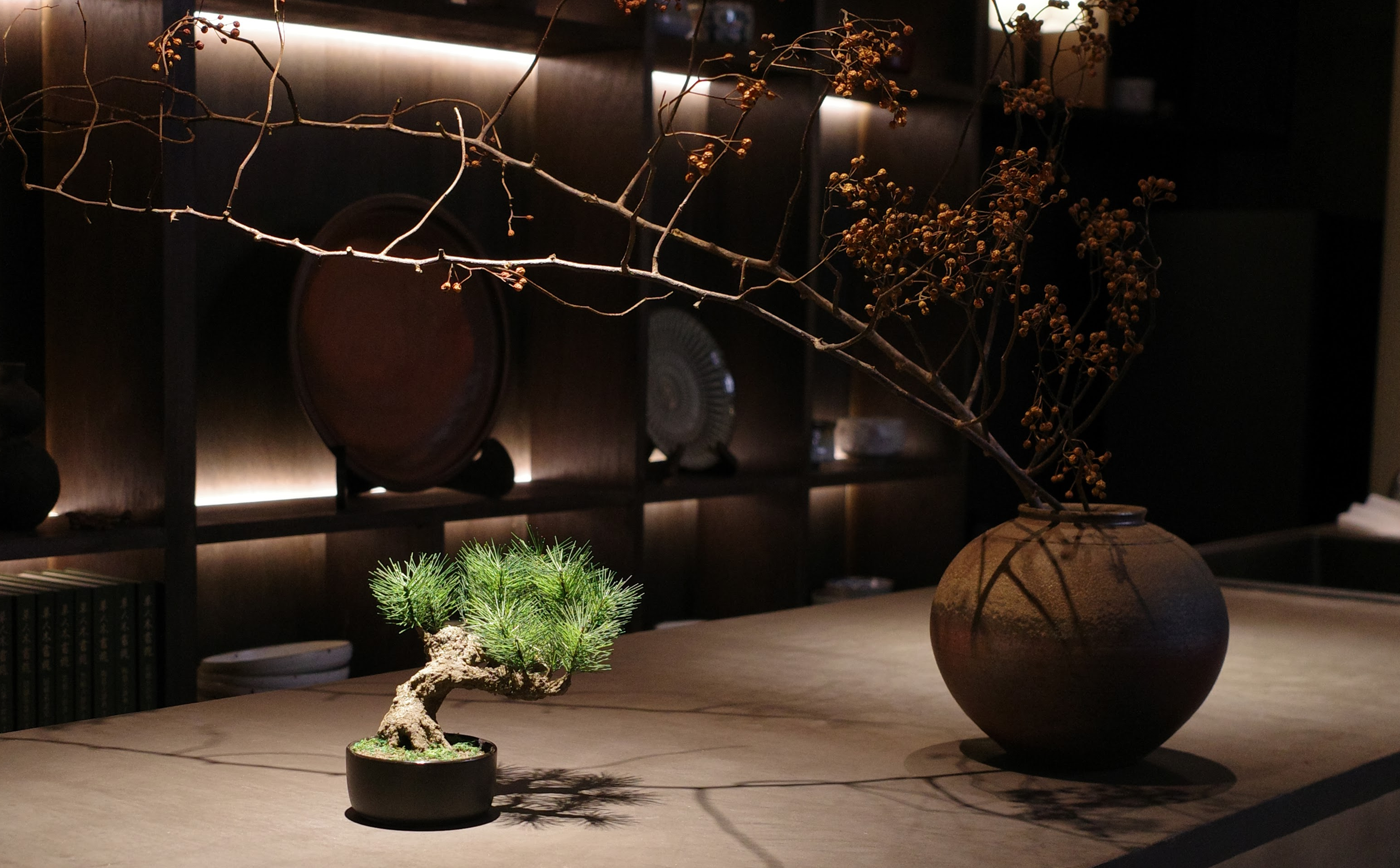 フェイク盆栽 盆栽 bonsai shirabe シラベ ハンドメイド 和モダン 店舗インテリア 空間演出